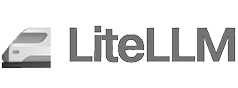 LiteLLM